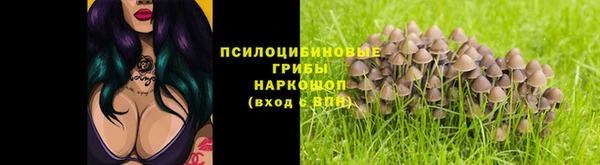 молекула духа Нефтекумск