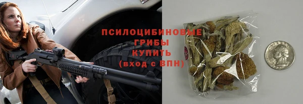 молекула духа Нефтекумск