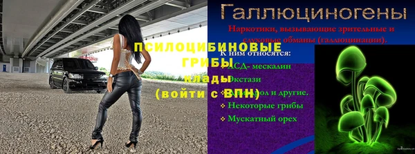 молекула духа Нефтекумск