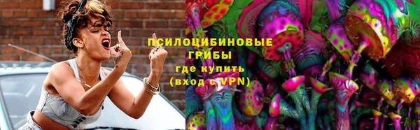 молекула духа Нефтекумск