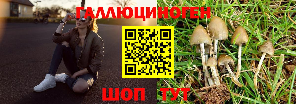 Псилоцибиновые грибы мицелий Лангепас